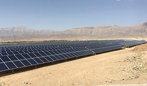 طرح گیاه فالوالکتای ماهان